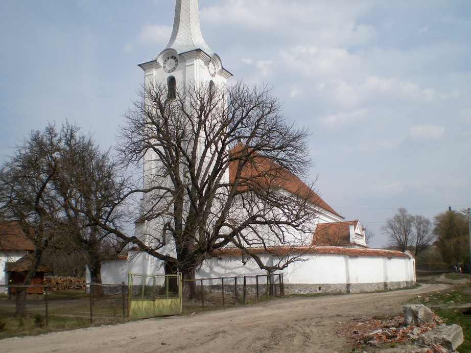 01.jpg
